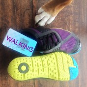 Millie foot Walking pic